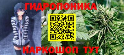 мяу мяу мука Гуково
