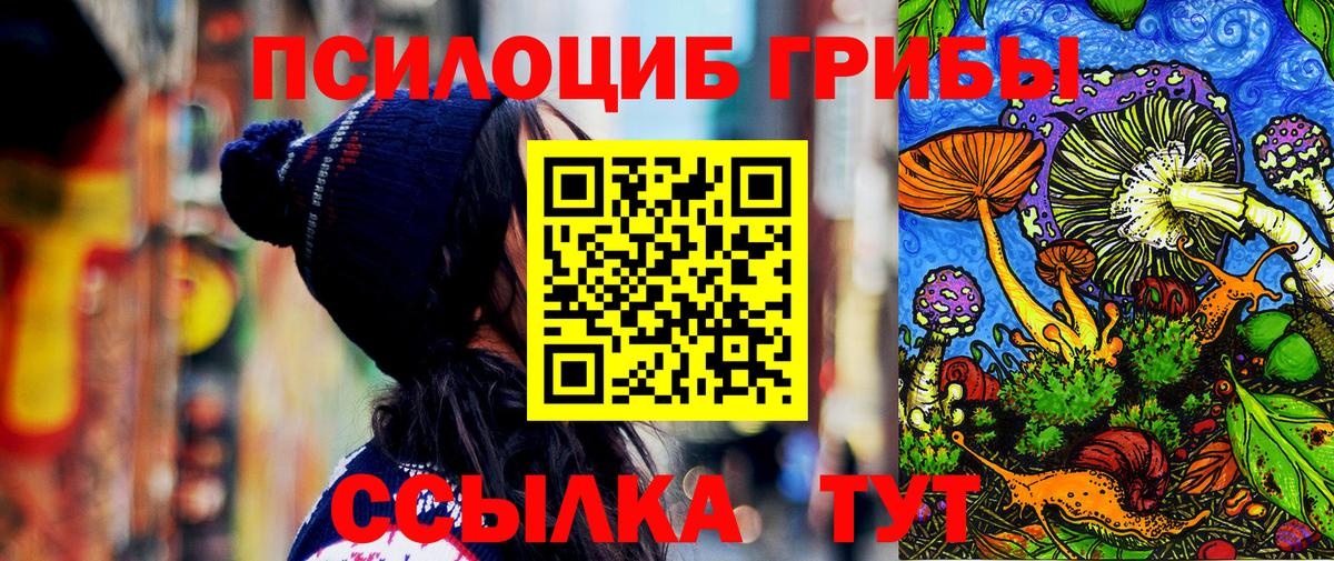 Аргун  Псилоцибиновые грибы Cubensis  Псилоцибиновые грибы мухоморы  Вход с VPN 